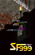 <b>战士也可以细分玩法</b>