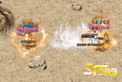 <b>sf999道士pk最好对付的是哪个职业</b>