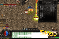<b>说说sf999每种属性的作用</b>