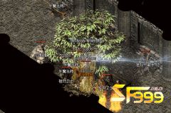 <b>千年树妖在哪里刷出来,能爆什么装备?</b>