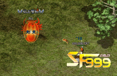 <b>sf999的战士紧盯道士不放怎么办?</b>