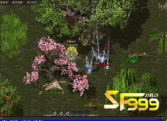 <b>探索传世sf新的地图幽幽花园</b>