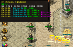 <b>你可知激活盾牌系统后的效果?</b>