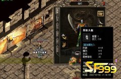 <b>稀有度超高的几款头盔</b>