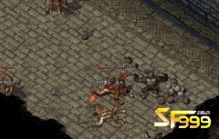 <b>挂机攻略:沃玛神殿的第三层最佳选择</b>