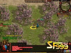 ��ʼ�ʱ����𡪡��춨����Ч������